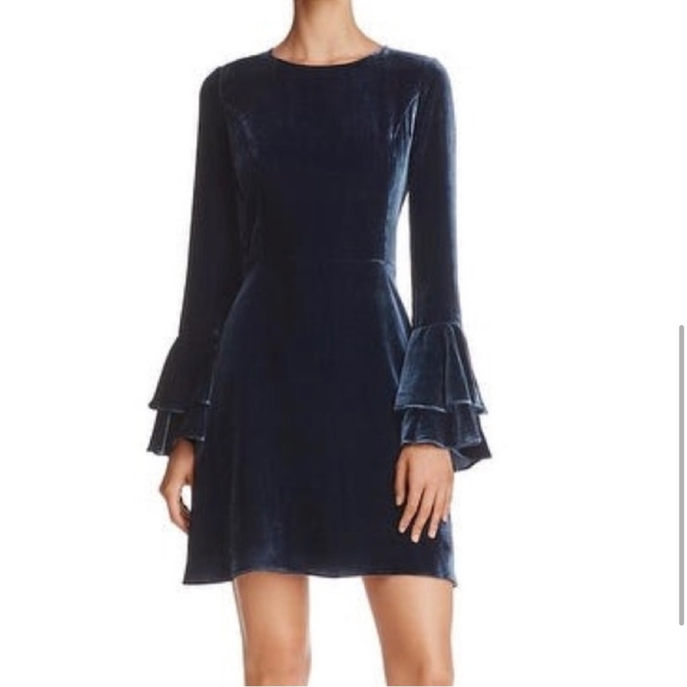 Parker NY Blue Velvet Dress